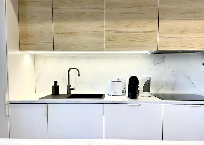 Akisol Rocha Blissful *